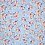 Cotton poplin with flowers