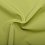 Softshell light green