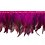 Ribbon with feathers