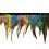 Ribbon with feathers
