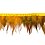 Ribbon with feathers